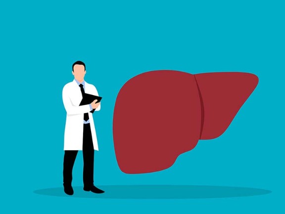 illustration of doctor and liver