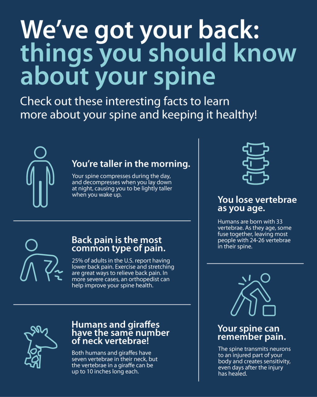 5 Interesting Facts About Back Pain