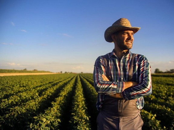 A farm worker crossing his arms in front of a crop field. 