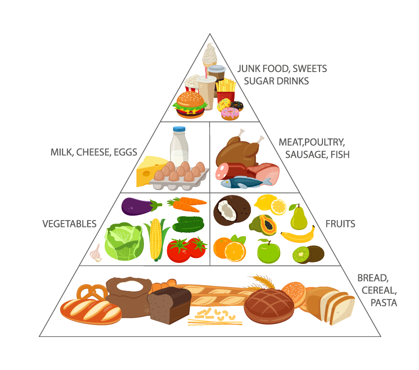 Food Pyramid