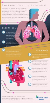 How the Heart Pumps Blood | St. Luke's Health How the Heart Pumps Blood