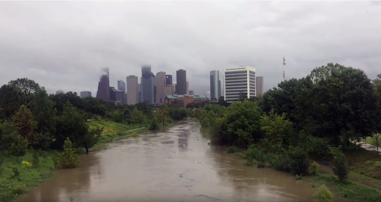 Stories from the Flood