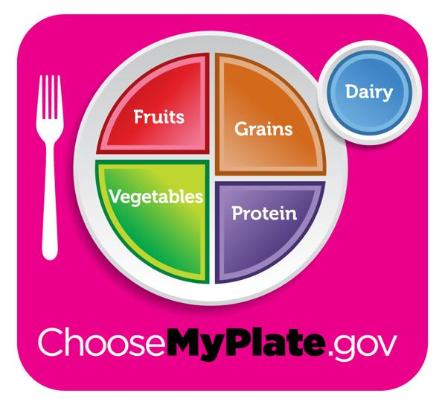 The Ingredients of a Healthy Diet | St. Luke's Health ChooseMyPlate