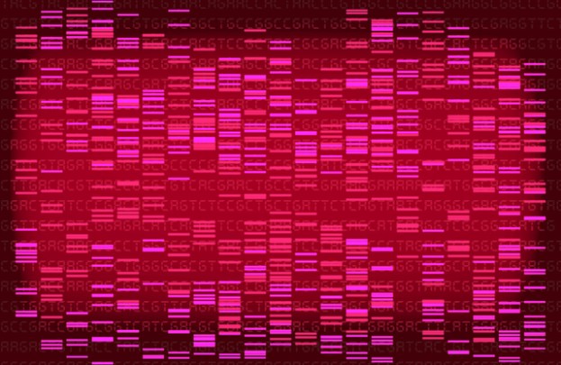 Pink Genome Sequencing Report 
