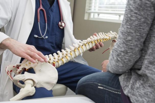 A doctor shows a patient a model of a spine. 